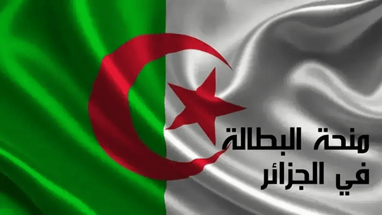 رفع منحة البطالة 300 دينار في الجزائر وفقا لقرار الحكومة وشروط تجديدها لأكثر من سنة